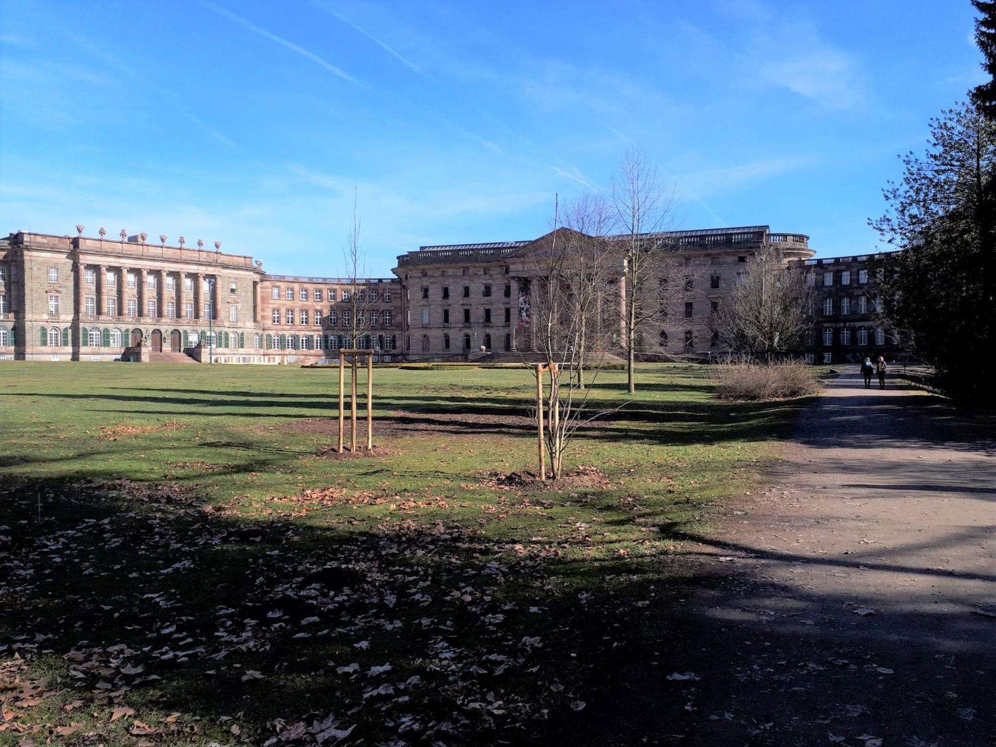 Apartment Hugo37 Am Bergpark Kassel Eksteriør billede